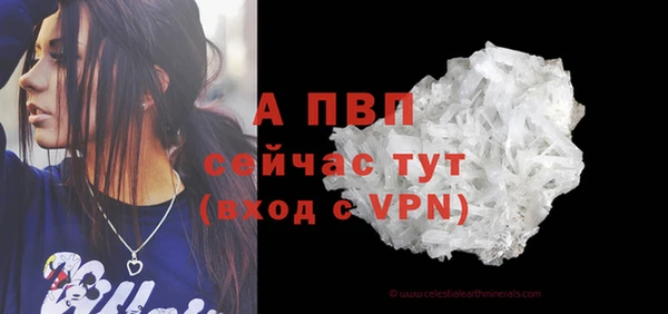 твердый Бородино