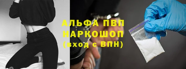 твердый Бородино