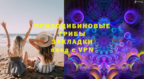 твердый Верхний Тагил