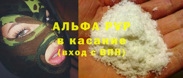 твердый Бородино