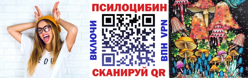 дарнет шоп  Карабаш  Псилоцибиновые грибы Psilocybe 